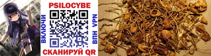 Псилоцибиновые грибы Cubensis  продажа наркотиков  Углич 