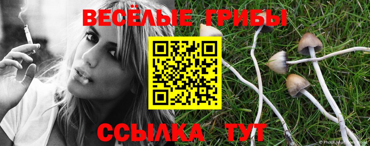 Галлюциногенные грибы Magic Shrooms Углич